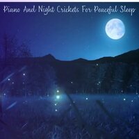 Promotes Digestive Health - symphony orchestra sound to sleep