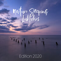 Evening Chill - Nature Tribe & Life Sounds Nature