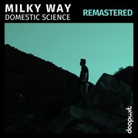 The Signal - Domestic Science