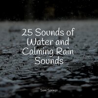 Relaxing Creek - Música para Massagem Especialistas & Sleep Songs with Nature Sounds & Relaxing Music Therapy