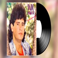AMOR VERDADEIRO - Tato Junior