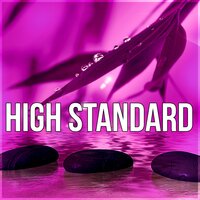 Hydro Energy Body Massage - Zen Spa Music Experts