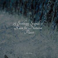 Waves of Rain - Gentle Rain Makers & Sonidos de la Naturaleza Relax & Rain Recorders