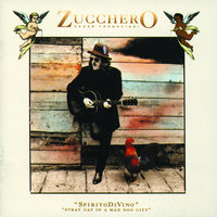 Feels Like A Woman - Zucchero
