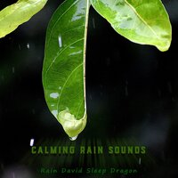 Open Skies - Rain David Sleep Dragon
