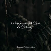 Stress Enchantments - Sounds of Nature White Noise for Mindfulness Meditation and Relaxation & Asian Zen: Spa Music Meditation & Academia de Música para Massagem Relaxamento