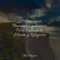 Felicidad En La Mente - Piano Relajante & Cancion de Cuna & Zona Música Relaxante