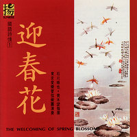 The Flower Basket of Life - Tokyo Philharmonic Orchestra