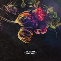 Echilibru - om la luna