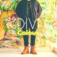Colour - DIVI