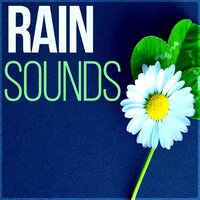 Healing Water Sound - Nature Sounds Universe