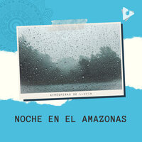 Por la noche en los trópicos para la relajación - Atmósferas de Lluvia