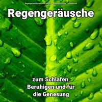 Regen Sound für Wellness - Regengeräusche & Schlafmusik & Regengeräusche von Alma Pfennig