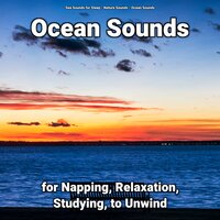Ocean Noises Ambience for Your Brain - Nature Sounds & Ocean Sounds & Sea Sounds for Sleep