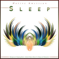 Flute and Ocean Waves Sounds For Sleep - Native American Flute & Sleep Music: Native American Flute & Native American Flute Music