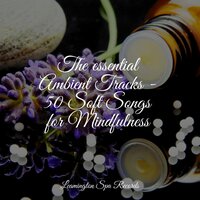 Sleep Well - Sleepy Times & Calming Sounds & Sound Sleeping