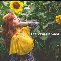The Music Now Begins - Relaxing music & Tranquility Spree & Stress Relief Helper