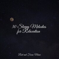 Origins of Dreams - Tinnitus Aid & Meditação Maestro & Spa & Spa
