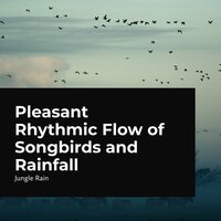 Birds in Howling Wind - Nature and Rain & Deep Rain Sampling & Jungle Rain