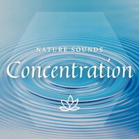 Movements of Dimensions - Meditway