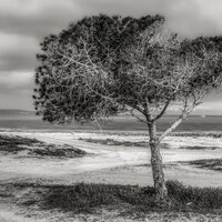 Ambient Soundscape for Sleep - Lluvia & Rainy Sounds & Ambient Rain