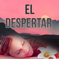 Ashtanga Yoga - Academia de Música para SPA