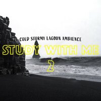 Cold Stormy Lagoon Ambience, Pt. 19 - Bryan Maxwell