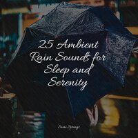 All Day Rain - Rain Sounds Rain & Baby Relax Music Collection & Unforgettable Paradise SPA Music Academy