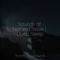 Cascading Waves - Nature Sound Series & Nature Sounds Nature Music