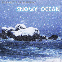 Snowy Ocean & Winter Wind - The Nature Sounds & Ocean Sounds & Perfect For Sleeping & White Noise of Snow & The Sounds of Nature & Nature Essentials