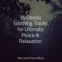 Ballad of Peace - Tonal Meditation Collective & The Relaxation Principle & Reiki Music
