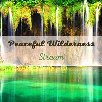 What is Insomnia - Green Nature Spa