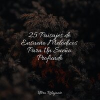 Quedarse En Casa - Musica Para Dormir & Musica Para Meditar y Relajarse & Música para Relaxar Maestro