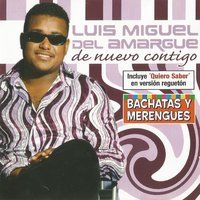 Embriagado - luis miguel del amargue