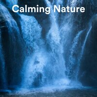 Crashing Waves with Seagulls - Lightning, Thunder and Rain Storm & Calming Rainforest Sounds & Sonido Del Bosque y Naturaleza