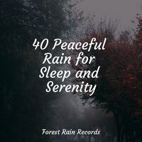 Gentle Fire Crackling - Rain Sound Studio & Entspannungsmusik & Música Zen Relaxante