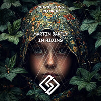 In Hiding - Martin Bakfly
