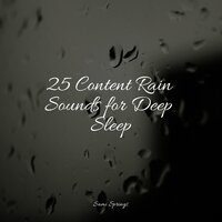 Windy, Rainy Streets - Nature Sounds for Relaxation and Sleep & Binaural Beats Brainwave Entrainment & Rainfall For Sleep