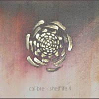 Love Worn Soul - Calibre