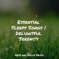 Journey to Dreamland - Baby Sweet Dream & Deep Sleep Music Academy & Easy Sleep Music
