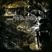 Intro - Skalpel & Many the Dog