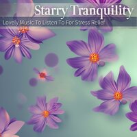 Coastal Haven Rest - Starry Tranquility