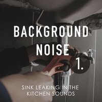 Sink Leaking in the Kitchen Sounds, Pt. 15 - Thomas O'Reilly