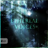 The Door - KNIGHTSTOWN & Thomas Aston & Edward Ashcroft & Paul Vials
