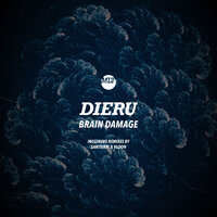Brain Damage - Dieru & Santierri