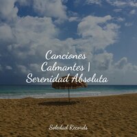 Tranquilamente Festivo - Música Instrumental Maestro & Relajar & Sonido de lluvia