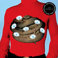 Cheetah Tongue - The Wombats