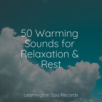 Stress Relief - Música Zen Relaxante & Soothing Chill Out For Insomnia & Study Power