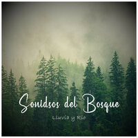 Sonidos del Bosque Para Dormir, Pt. 15 - Sonidos de Lluvia by BNLXA & Ruído branco & Sonidos De Truenos y Lluvia