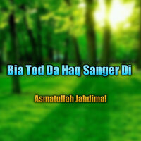 Hilmenda Per Wjod Di - Asmatullah Jahdimal
